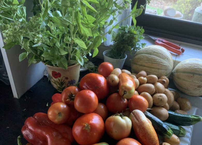 Amap La Seyne sur Mer