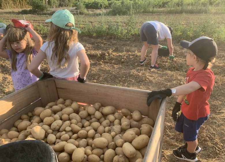 Amap La Seyne sur Mer