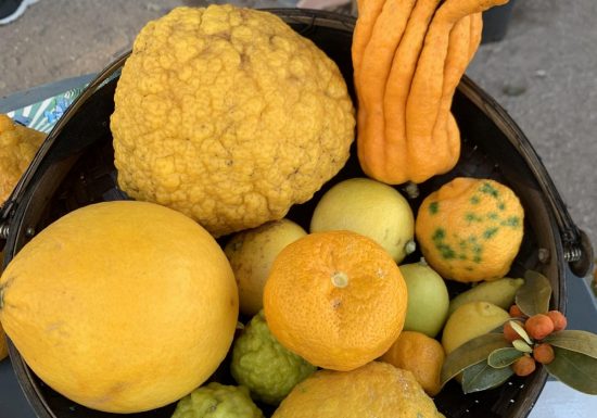 Amap La Seyne sur Mer