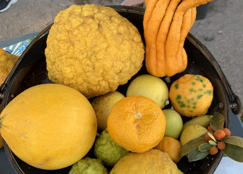 Amap La Seyne sur Mer