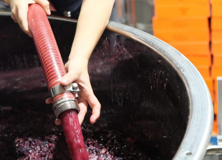 Domaine Pieracci