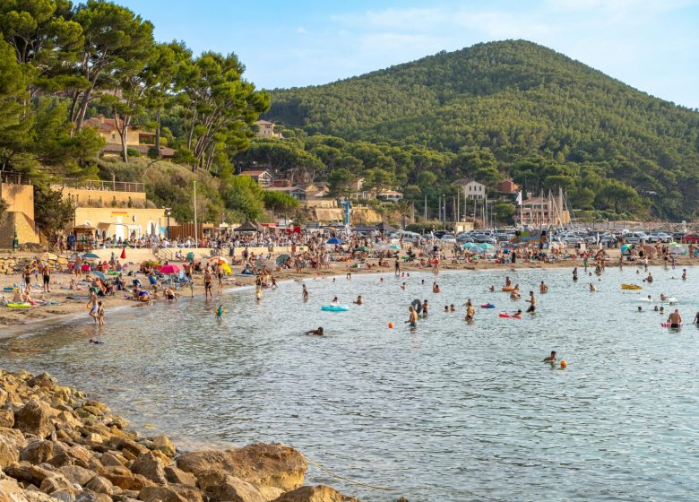 Sardinade & DJ on the beach