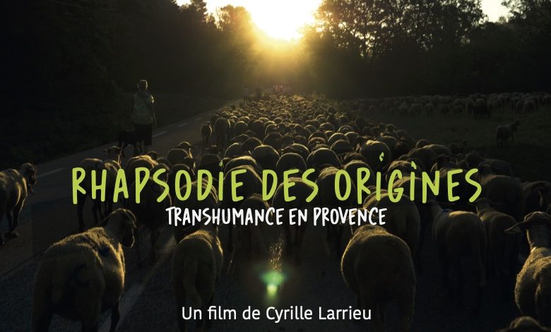 Ciné-débat : Regards croisés sur le pastoralisme en Provence