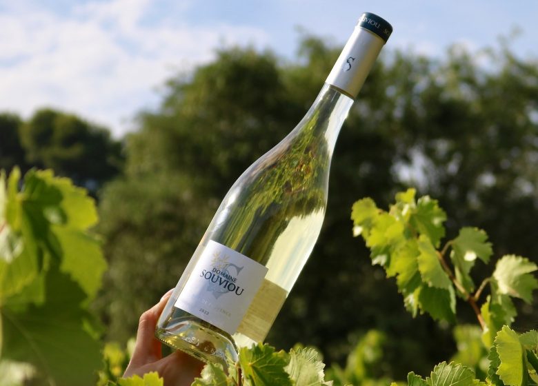 Domaine Souviou