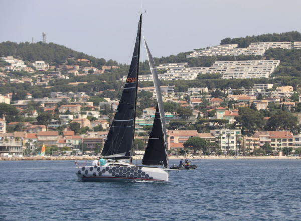 Les voiles des vignerons
