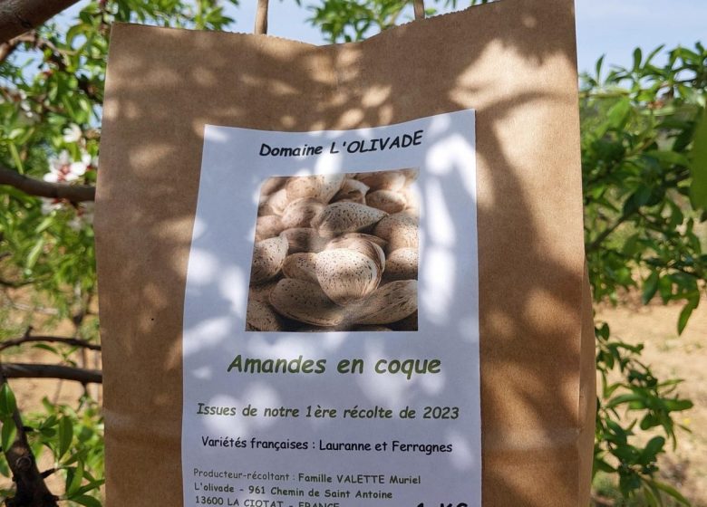 Domaine De L&rsquo;Olivade
