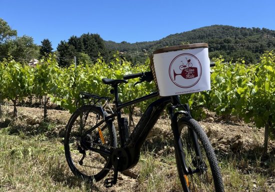 Wine Tour Bandol à vélo électrique – Dégustation de vins en Provence