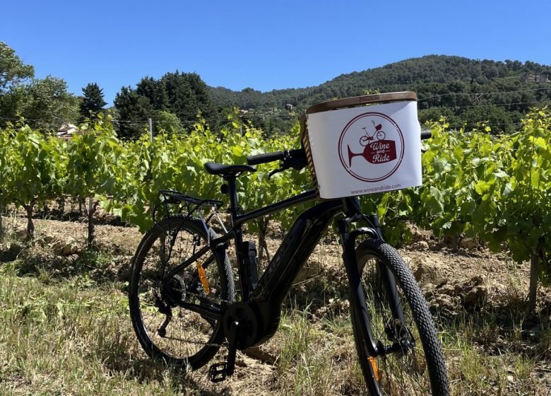Wine Tour Bandol à vélo électrique – Dégustation de vins en Provence