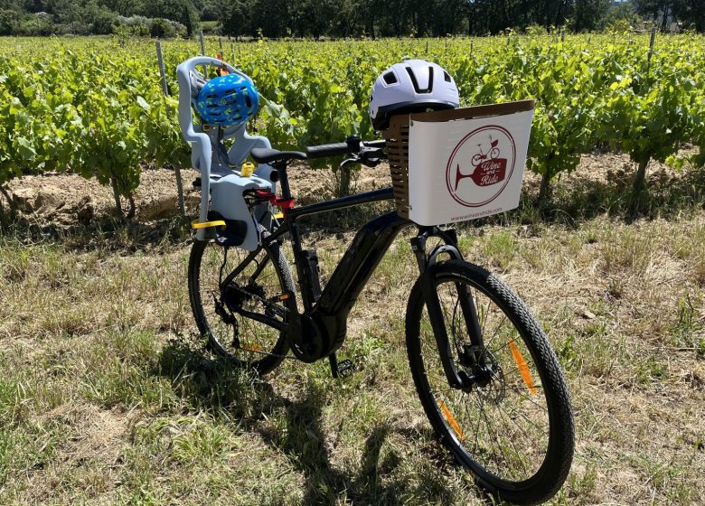 Wine Tour Bandol à vélo électrique – Dégustation de vins en Provence