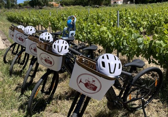Wine Tour Bandol à vélo électrique – Dégustation de vins en Provence