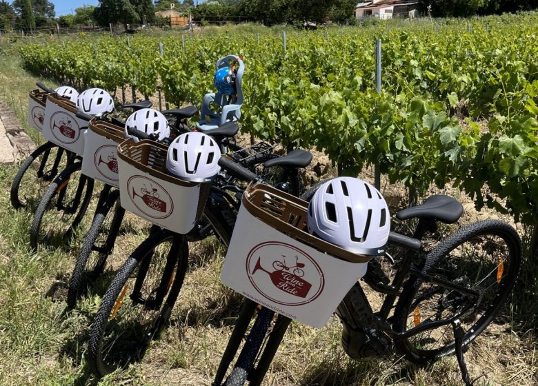 Wine Tour Bandol à vélo électrique – Dégustation de vins en Provence