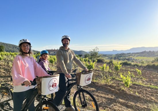 Wine Tour Bandol à vélo électrique – Dégustation de vins en Provence