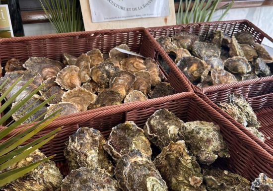 Coquillages Giol