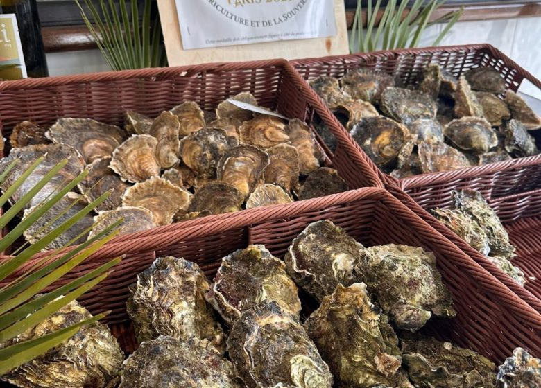 Coquillages Giol