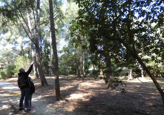 Parc du Canet