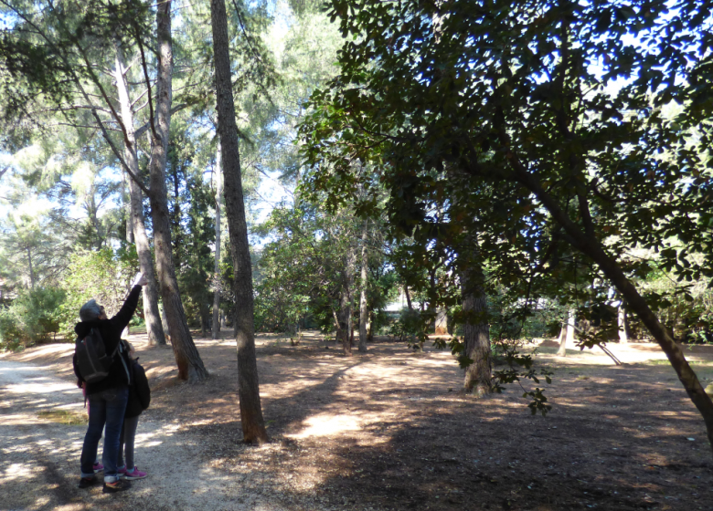Parc du Canet