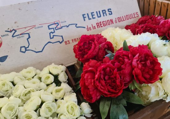Visite commentée du Musée de la Fleur et de l&rsquo;Olivier