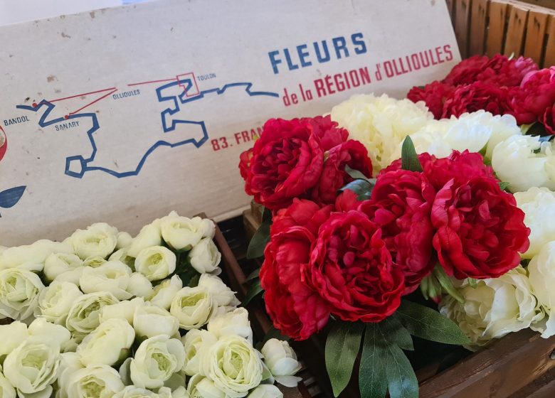 Visite commentée du Musée de la Fleur et de l&rsquo;Olivier
