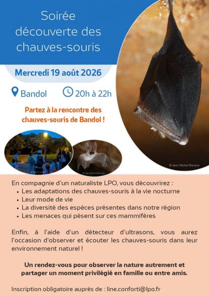 Rencontre avec les chauves-souris de Bandol