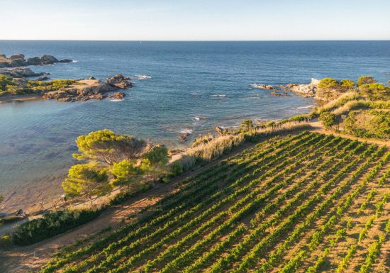 Domaine viticole de l&rsquo;île des Embiez