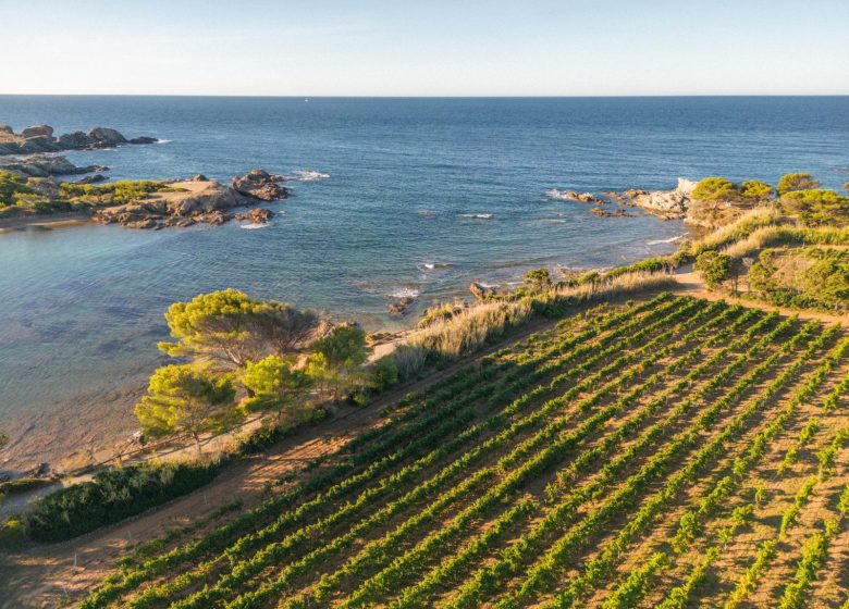 Domaine viticole de l&rsquo;île des Embiez