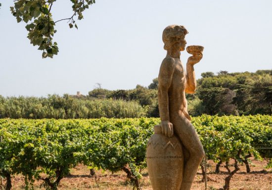 Domaine viticole de l&rsquo;île des Embiez