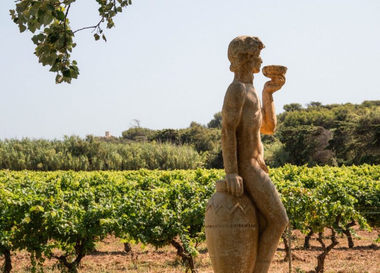 Domaine viticole de l&rsquo;île des Embiez