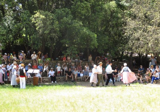 Fête des vendanges