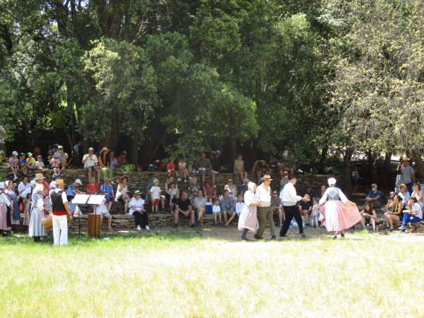 Fête des vendanges
