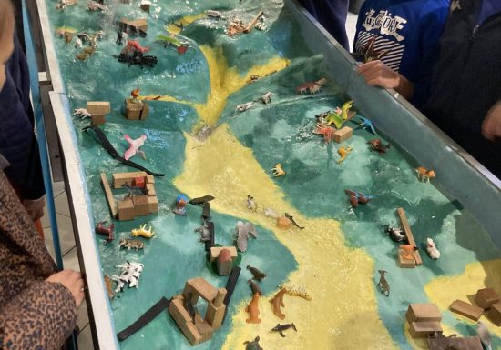 Atelier – Le cycle naturel de l’eau