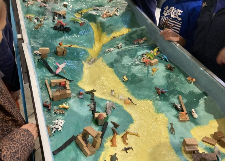 Atelier – Le cycle naturel de l’eau