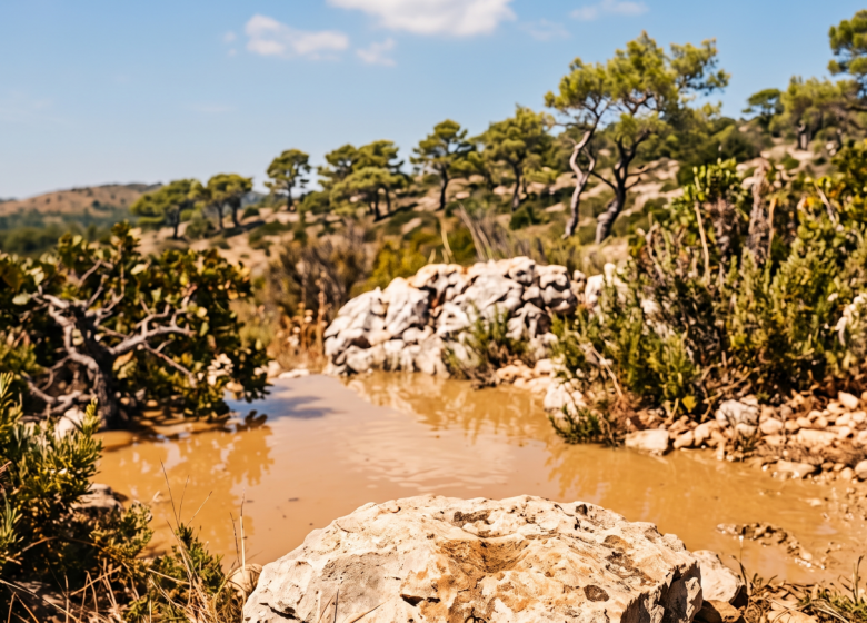 Atelier – Filtrer l’eau, savoir essentiel