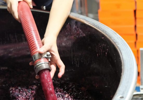 Domaine Pieracci
