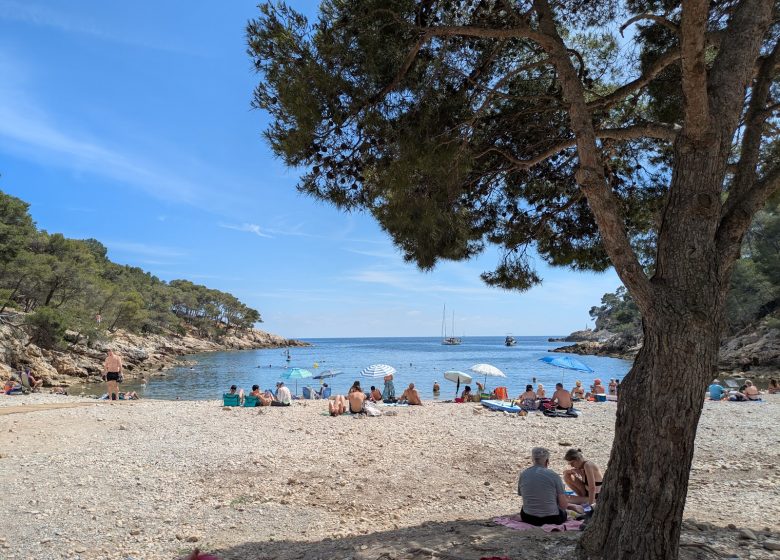 Port d'Alon campsite