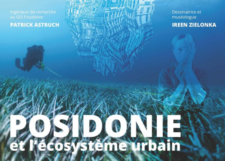 Posidonie et l&rsquo;écosystème urbain