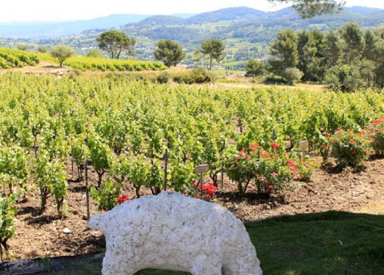 Visite guidée du Domaine Bunan