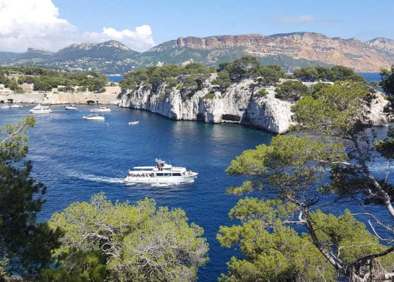 Sorties en mer à bord de l’Atlantide