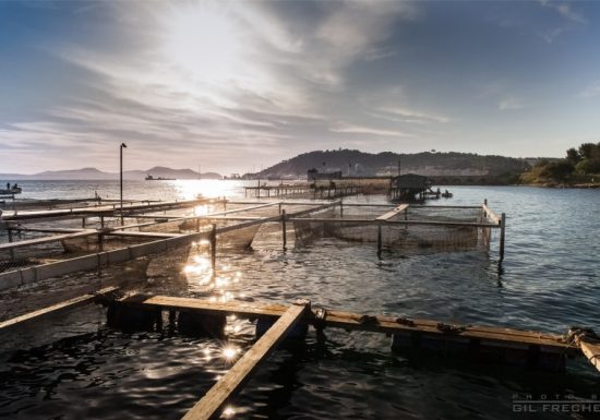 Ferme marine Hydraloup, le stand du pêcheur