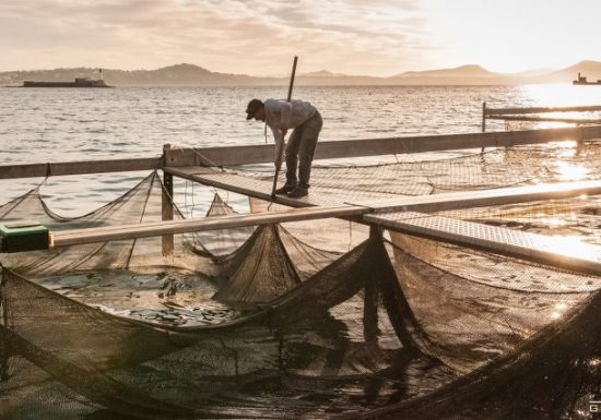 Ferme marine Hydraloup, le stand du pêcheur