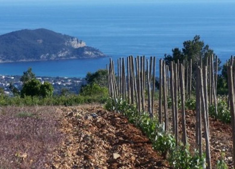 Domaine de la Begude