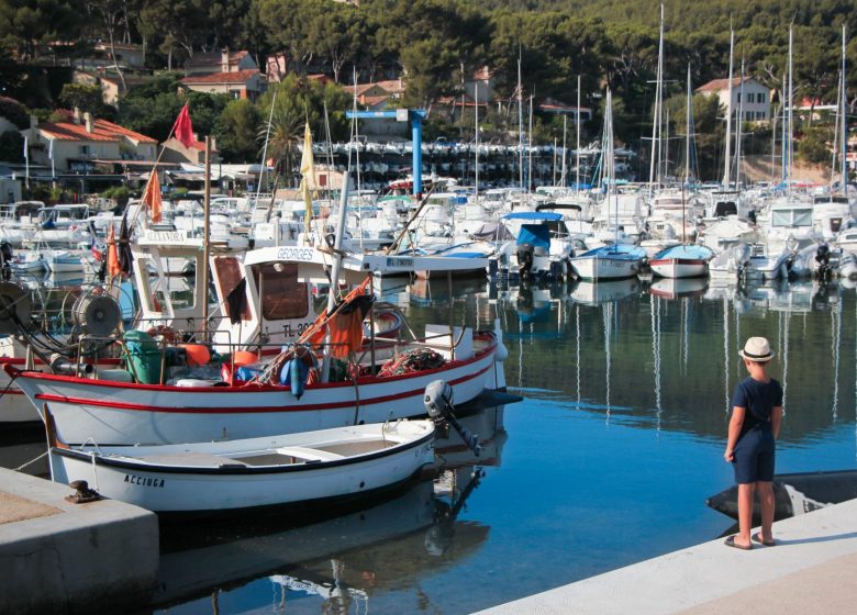 Provenzalischer Sommermarkt in Port de la Madrague