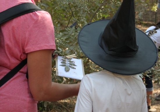 Sortie enfant : Dans la peau d&rsquo;une sorcière – Sorsciences