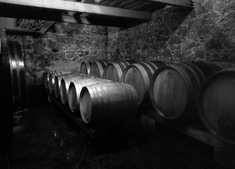 Domaine Castell-Reynoard