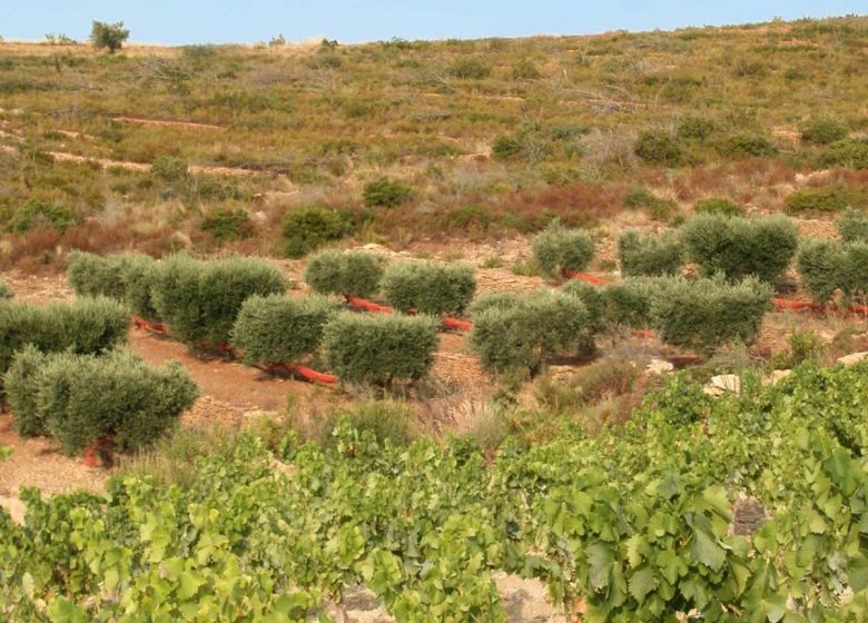 Domaine la Suffrène