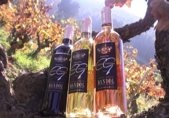 Domaine des Costes Gallines