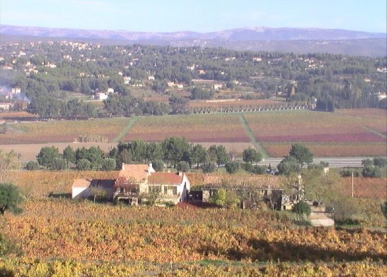 Domaine des Costes Gallines