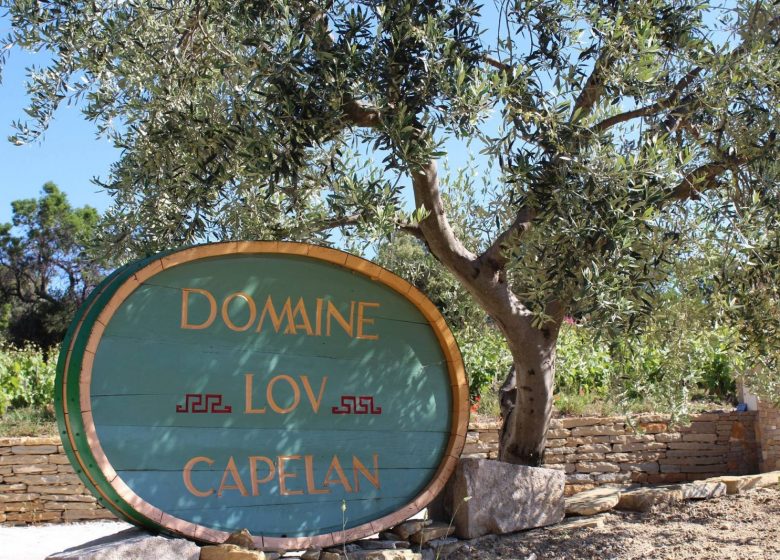 Domaine Lou Capelan