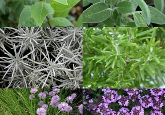 Ferme Valérie Assaud