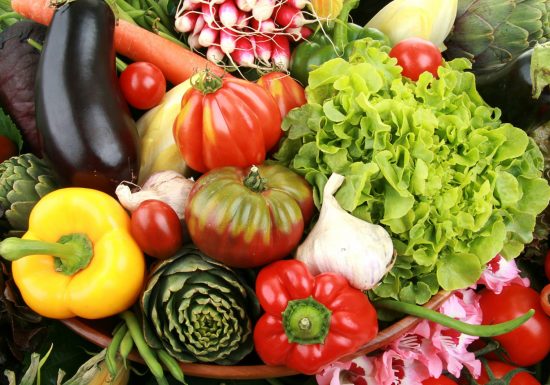 Maraîchers Moutte Patrick et Guy