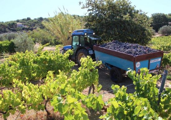 Domaine de la Mourrette